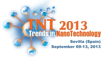 TNT2013 logo